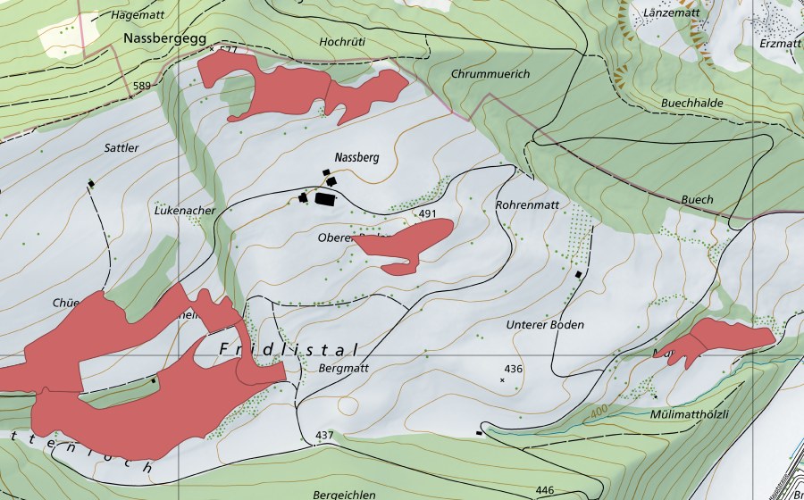 swisstopo national map showing the protected perimeter of Nassberg (Dry meadow)