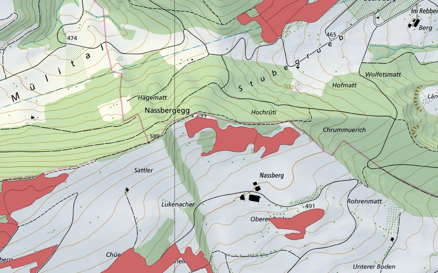 Carte nationale swisstopo avec le périmètre protégé de Nassbergegg (Prairie sèche)
