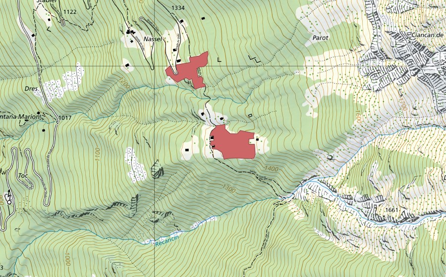 Carte nationale swisstopo avec le périmètre protégé de Nassel (Prairie sèche)