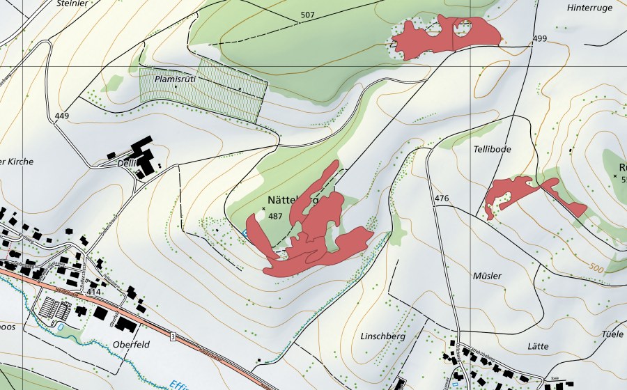 swisstopo national map showing the protected perimeter of Nätteberg (Dry meadow)