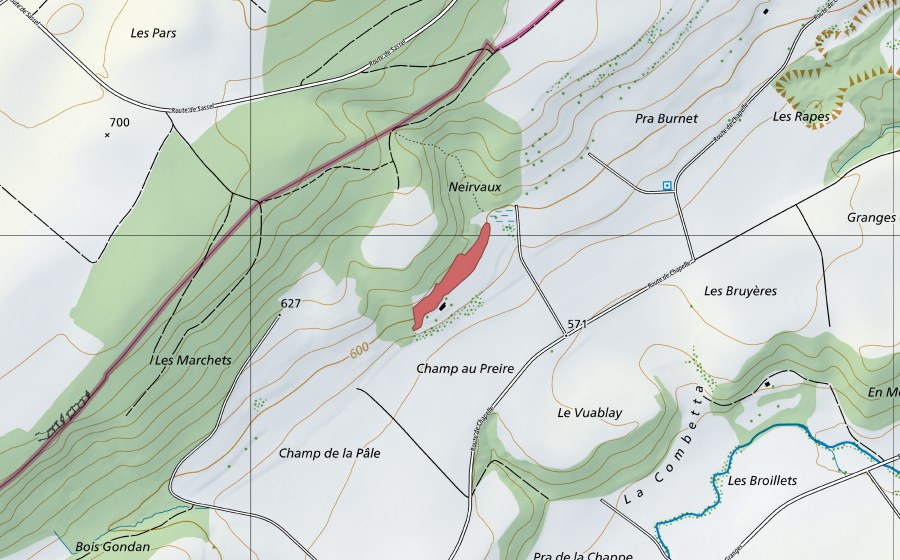 Carte nationale swisstopo avec le périmètre protégé de Neirvaux (Prairie sèche)