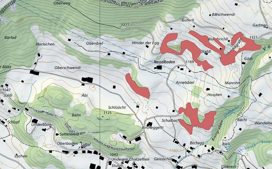Carta nazionale swisstopo con il perimetro protetto di Nesselboden (Prato secco)