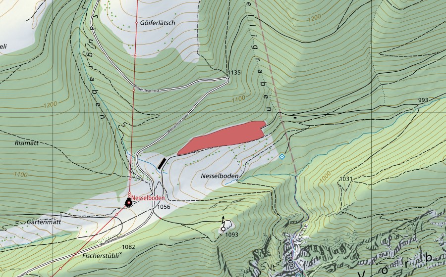 swisstopo national map showing the protected perimeter of Nesselboden (Dry meadow)