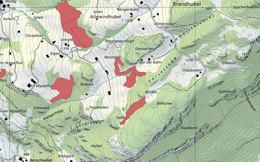 swisstopo national map showing the protected perimeter of Nessligen (Dry meadow)