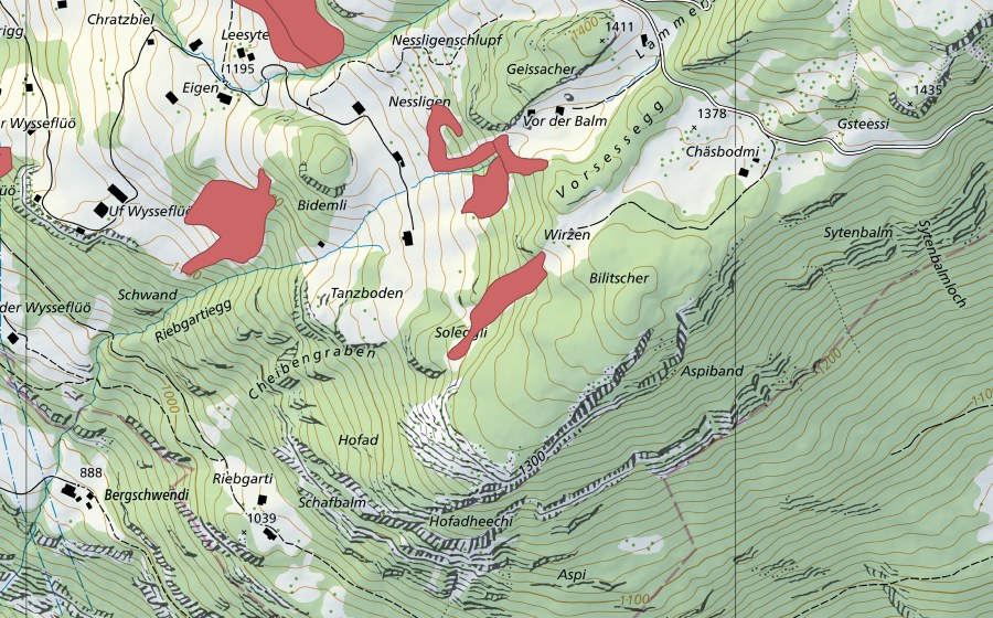 swisstopo national map showing the protected perimeter of Nessligen (Dry meadow)