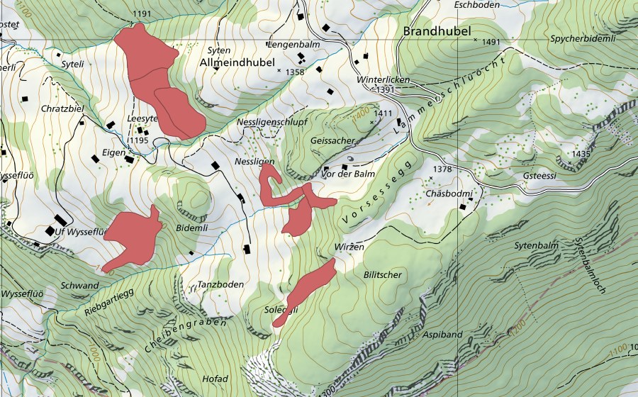 swisstopo national map showing the protected perimeter of Nessligen (Dry meadow)