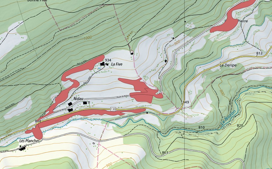 swisstopo national map showing the protected perimeter of Nidau (Dry meadow)