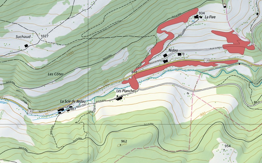Landeskarte swisstopo mit dem Schutzperimeter von Nidau (Trockenwiese)