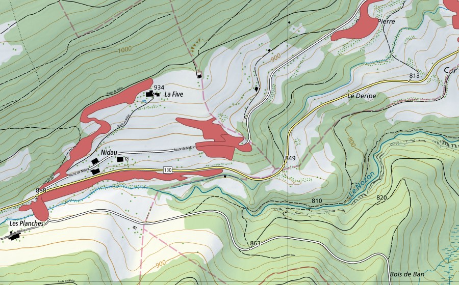 Landeskarte swisstopo mit dem Schutzperimeter von Nidau (Trockenwiese)