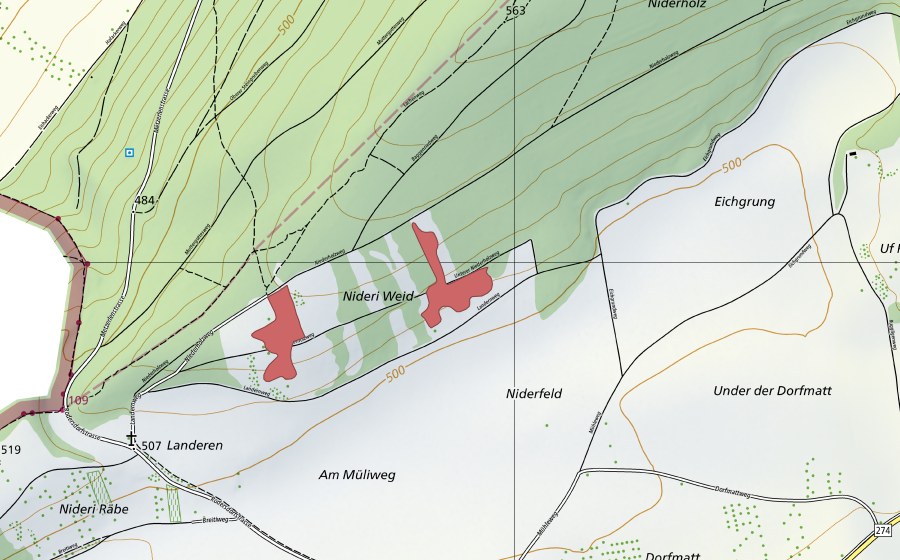 swisstopo national map showing the protected perimeter of Niderfeld (Dry meadow)