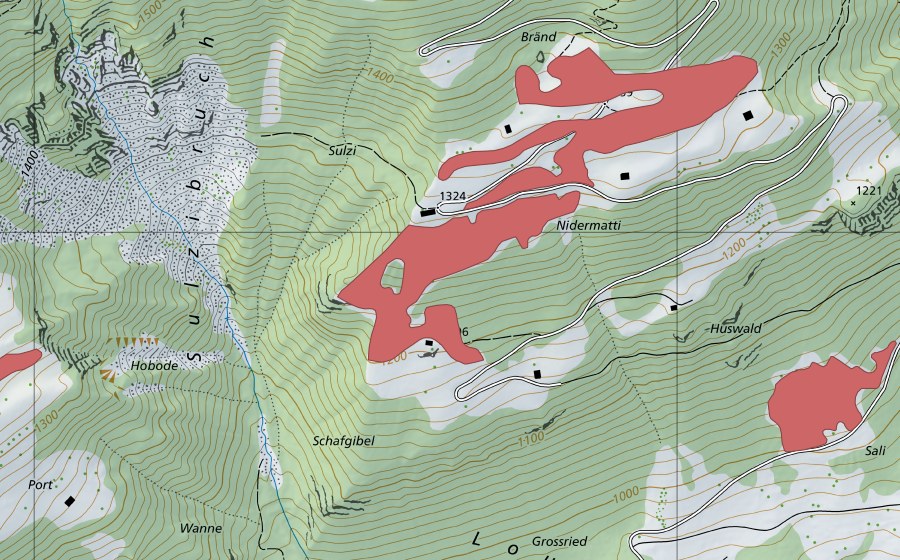 swisstopo national map showing the protected perimeter of Nidermatti (Dry meadow)