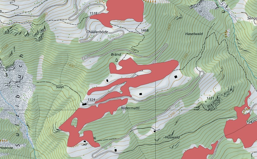 Landeskarte swisstopo mit dem Schutzperimeter von Nidermatti (Trockenwiese)