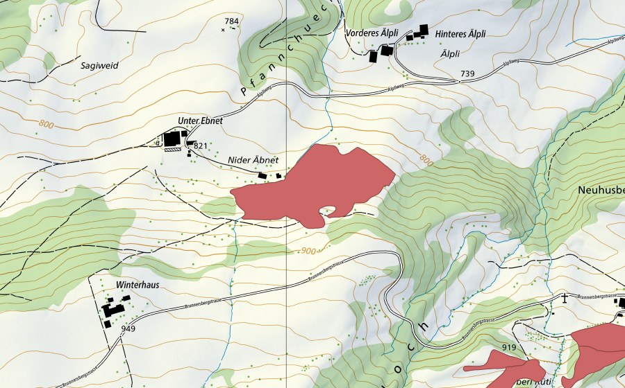 swisstopo national map showing the protected perimeter of Nieder Äbnet (Dry meadow)