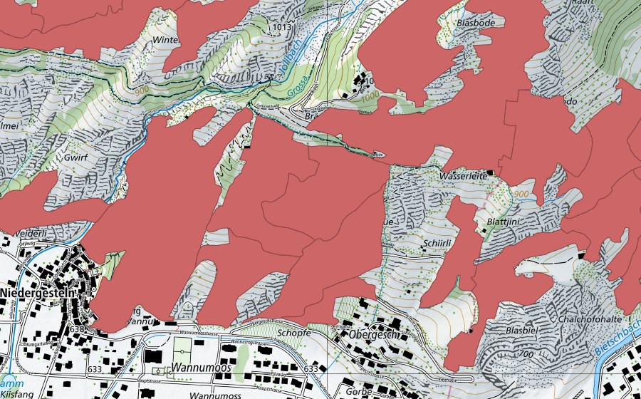 Landeskarte swisstopo mit dem Schutzperimeter von Niedergesteln (Trockenwiese)