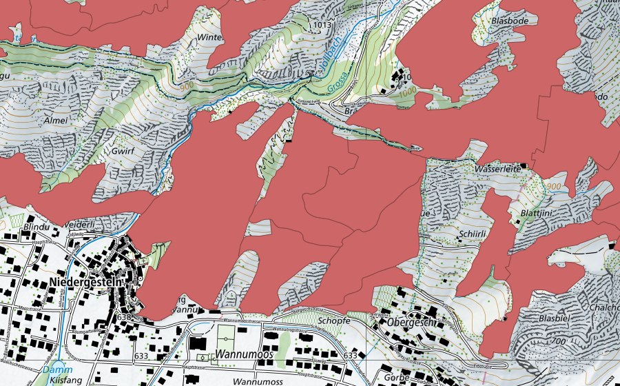 swisstopo national map showing the protected perimeter of Niedergesteln (Dry meadow)