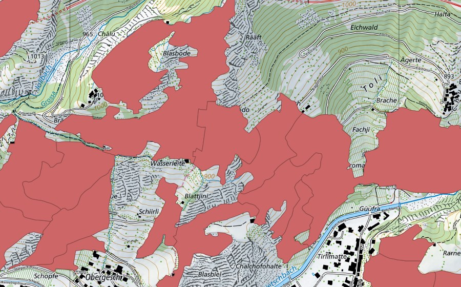 swisstopo national map showing the protected perimeter of Niedergesteln (Dry meadow)