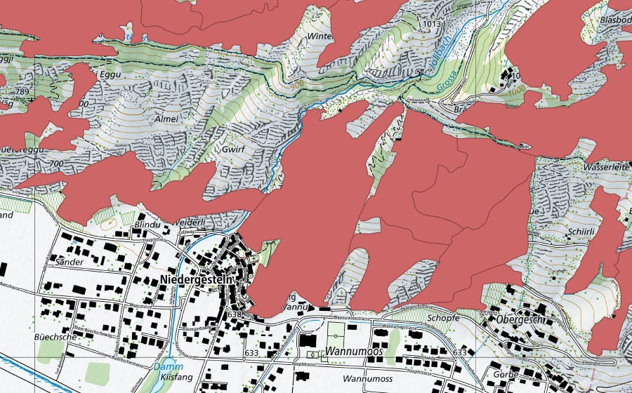swisstopo national map showing the protected perimeter of Niedergesteln (Dry meadow)