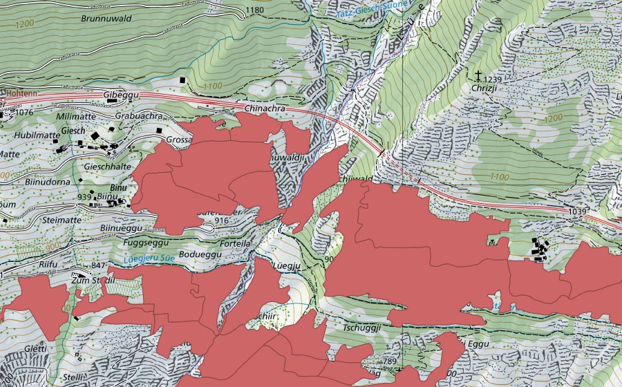 Carta nazionale swisstopo con il perimetro protetto di Niedergesteln (Prato secco)