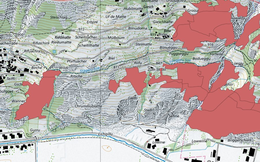 swisstopo national map showing the protected perimeter of Niedergesteln (Dry meadow)