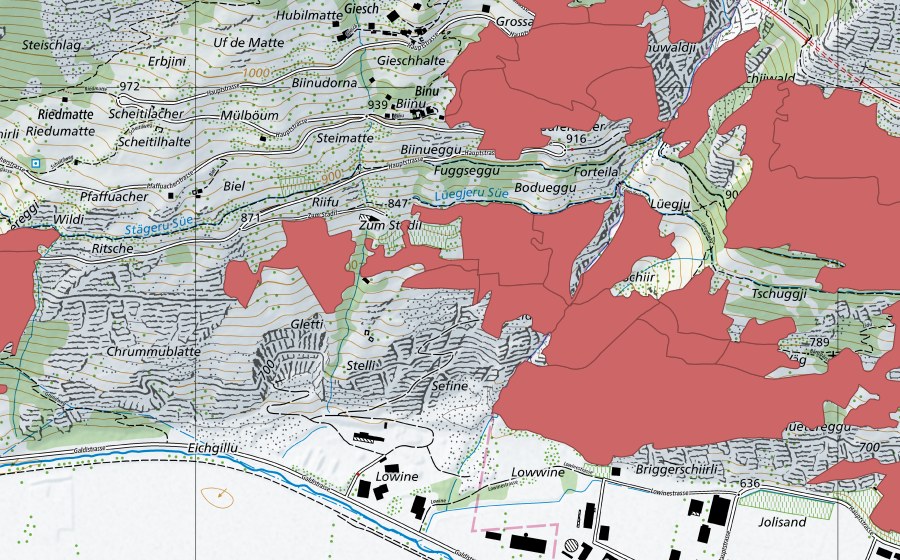 swisstopo national map showing the protected perimeter of Niedergesteln (Dry meadow)