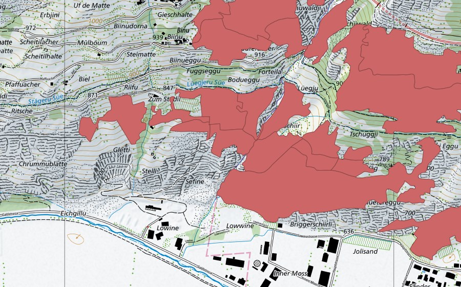 swisstopo national map showing the protected perimeter of Niedergesteln (Dry meadow)