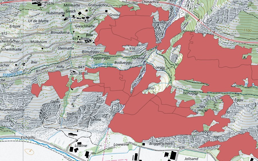 swisstopo national map showing the protected perimeter of Niedergesteln (Dry meadow)