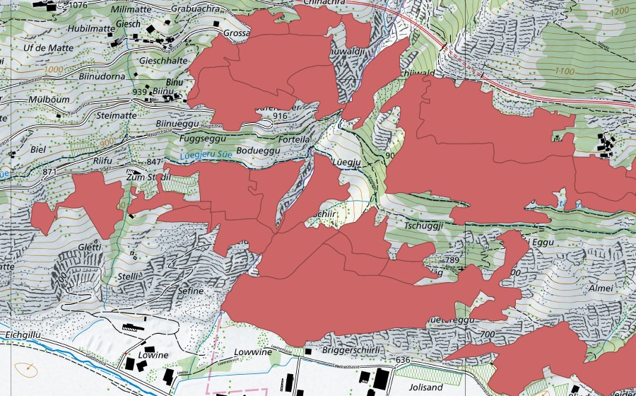 swisstopo national map showing the protected perimeter of Niedergesteln (Dry meadow)
