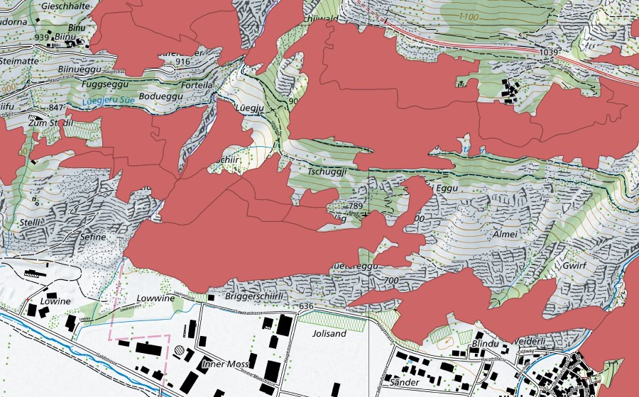swisstopo national map showing the protected perimeter of Niedergesteln (Dry meadow)