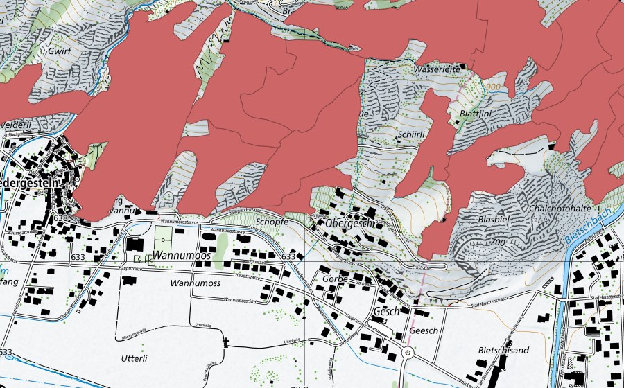 Landeskarte swisstopo mit dem Schutzperimeter von Niedergesteln (Trockenwiese)