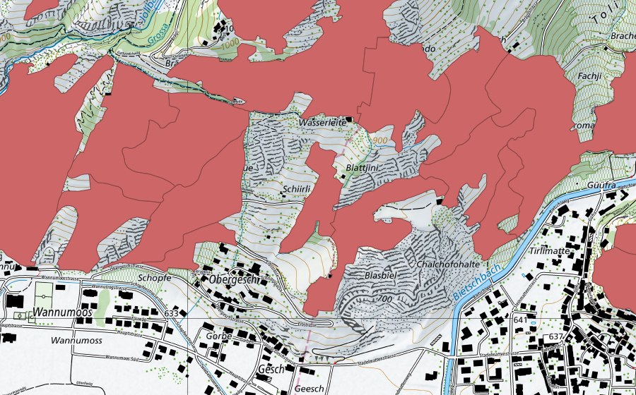 swisstopo national map showing the protected perimeter of Niedergesteln (Dry meadow)