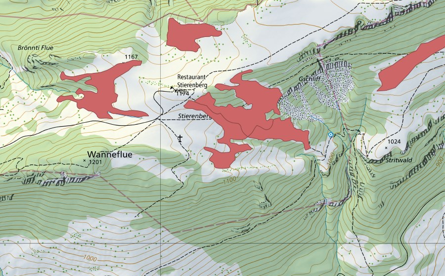 swisstopo national map showing the protected perimeter of Niederwiler Stierenberg (Dry meadow)