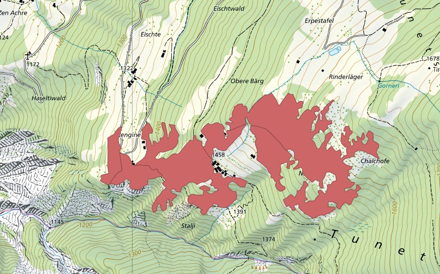 Carte nationale swisstopo avec le périmètre protégé de Niesch (Prairie sèche)