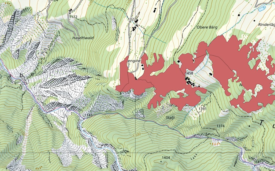 Carte nationale swisstopo avec le périmètre protégé de Niesch (Prairie sèche)