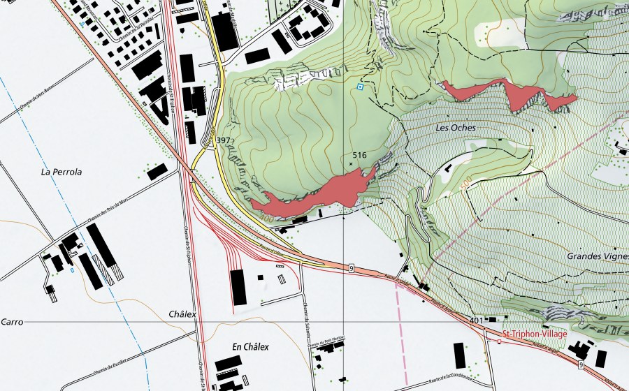 swisstopo national map showing the protected perimeter of Noches (Dry meadow)