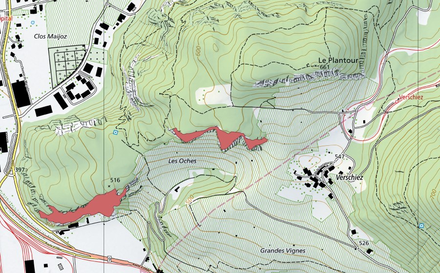 Landeskarte swisstopo mit dem Schutzperimeter von Noches (Trockenwiese)
