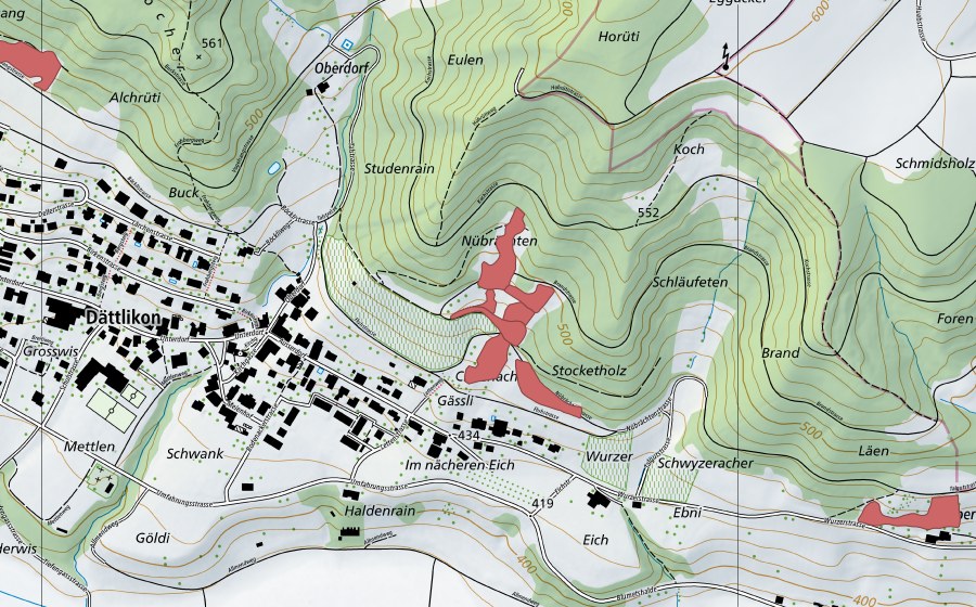 Landeskarte swisstopo mit dem Schutzperimeter von Nübrächten (Trockenwiese)