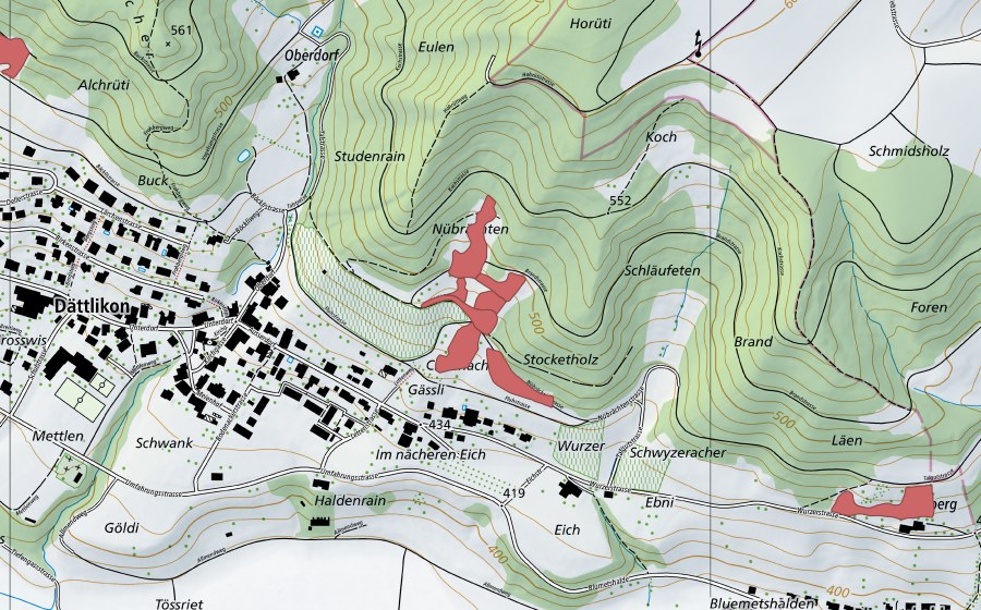 swisstopo national map showing the protected perimeter of Nübrächten (Dry meadow)