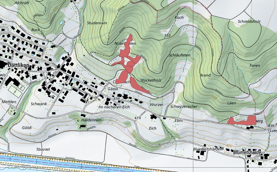 Landeskarte swisstopo mit dem Schutzperimeter von Nübrächten (Trockenwiese)