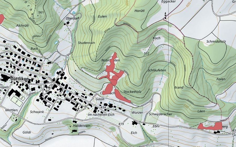 Landeskarte swisstopo mit dem Schutzperimeter von Nübrächten (Trockenwiese)