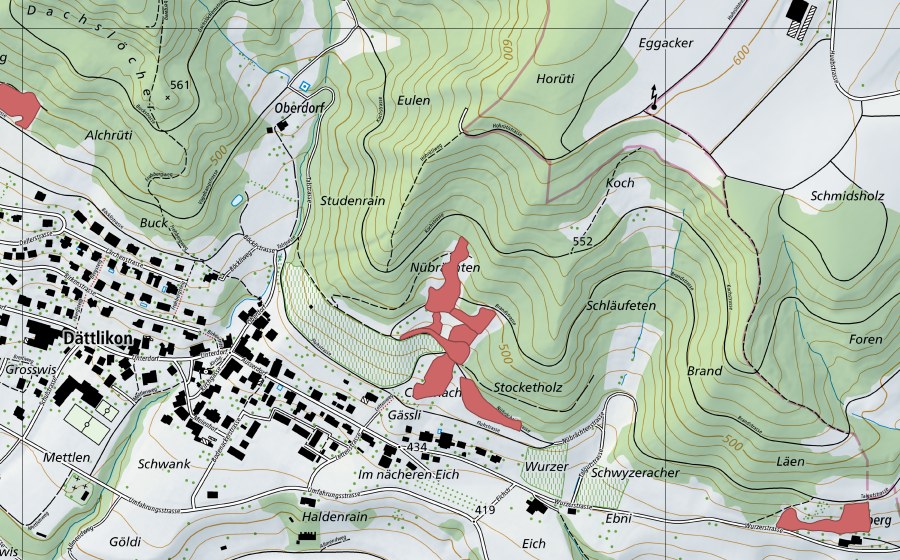 Carte nationale swisstopo avec le périmètre protégé de Nübrächten (Prairie sèche)