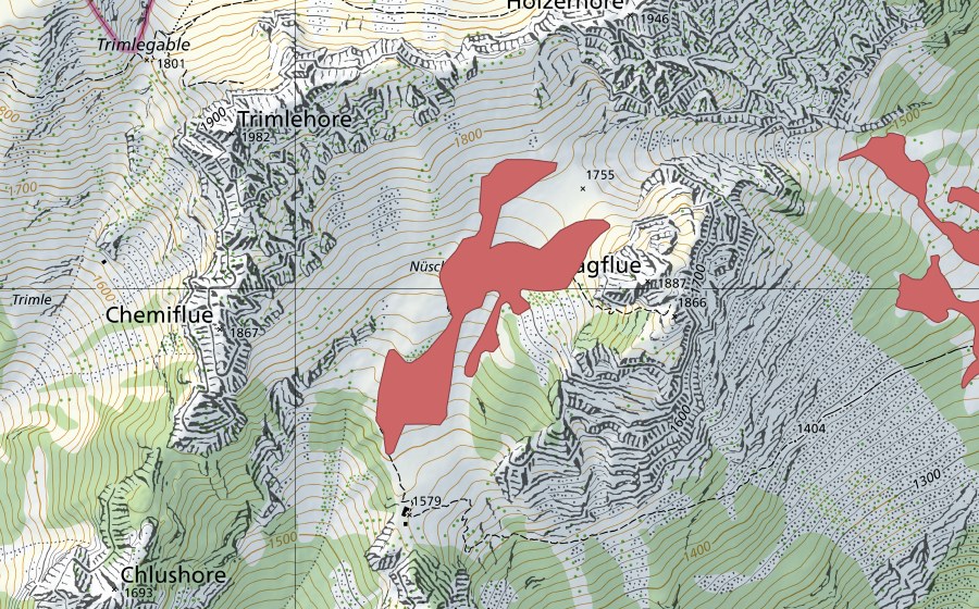 swisstopo national map showing the protected perimeter of Nüschlete (Dry meadow)