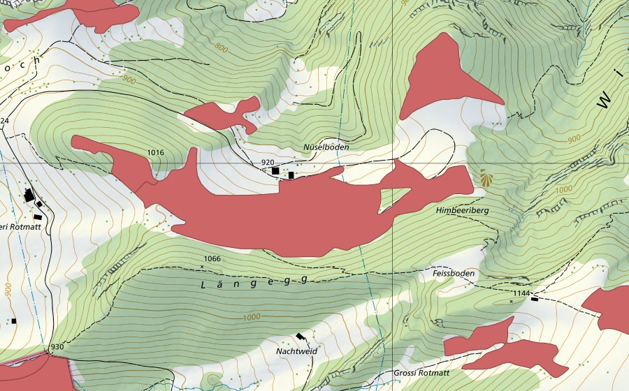 swisstopo national map showing the protected perimeter of Nüselboden (Dry meadow)