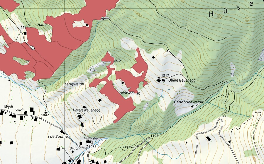 swisstopo national map showing the protected perimeter of Nüwenegg (Dry meadow)