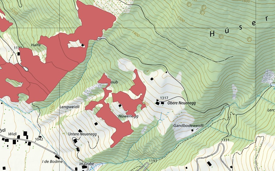 Landeskarte swisstopo mit dem Schutzperimeter von Nüwenegg (Trockenwiese)