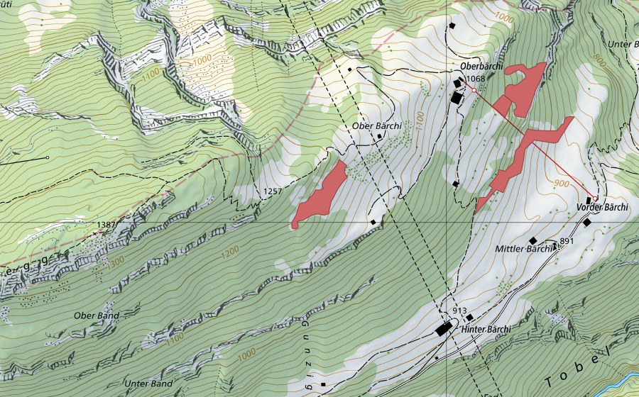 swisstopo national map showing the protected perimeter of Ober Bärchi (Dry meadow)