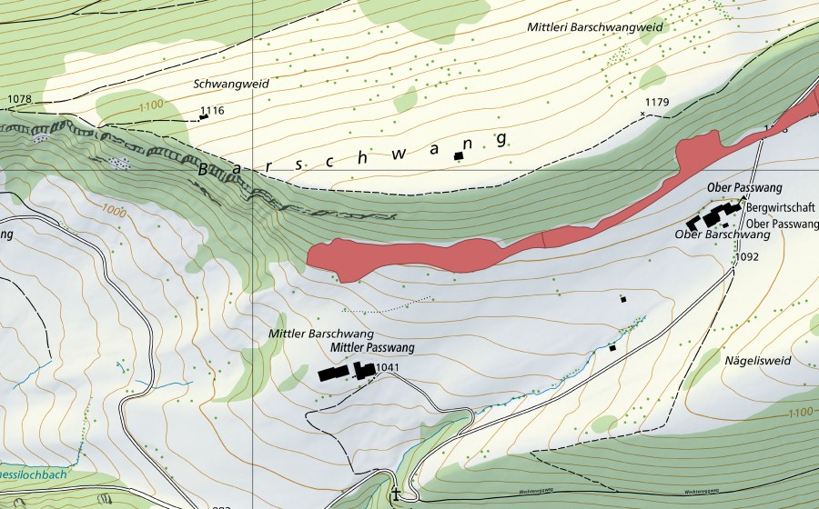 swisstopo national map showing the protected perimeter of Ober Barschwang (Dry meadow)