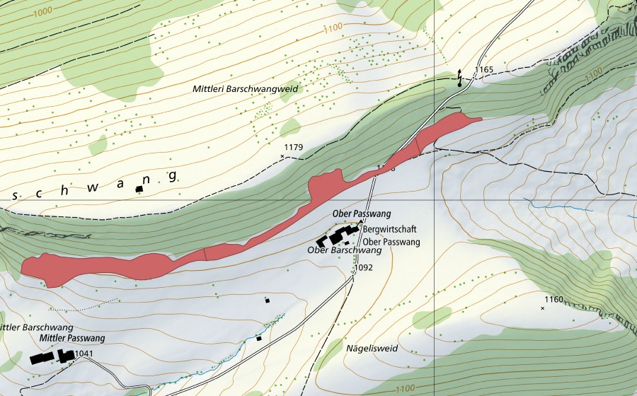 Carta nazionale swisstopo con il perimetro protetto di Ober Barschwang (Prato secco)