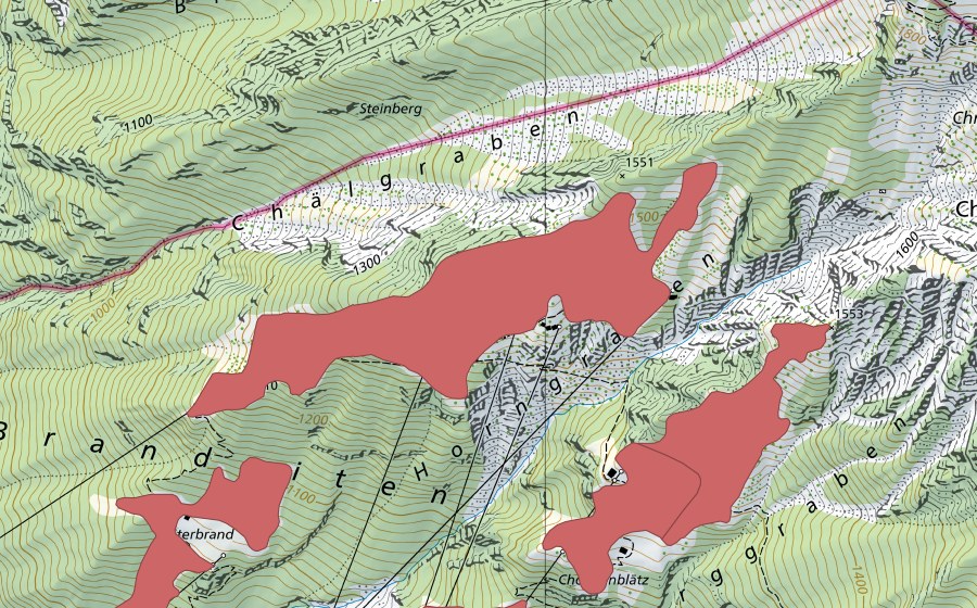 swisstopo national map showing the protected perimeter of Ober Brand (Dry meadow)