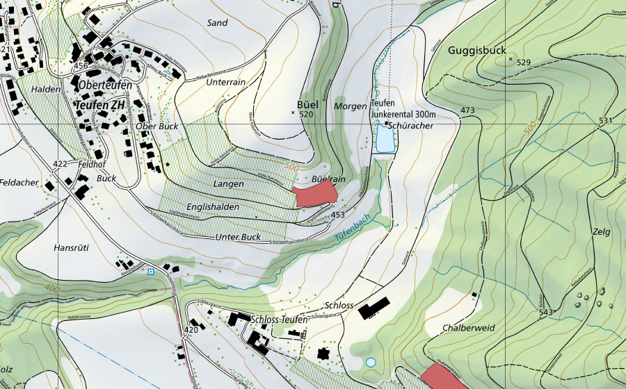 swisstopo national map showing the protected perimeter of Ober Büel (Dry meadow)
