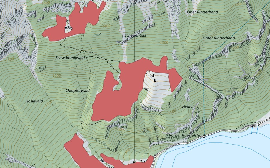 swisstopo national map showing the protected perimeter of Ober Herberig (Dry meadow)